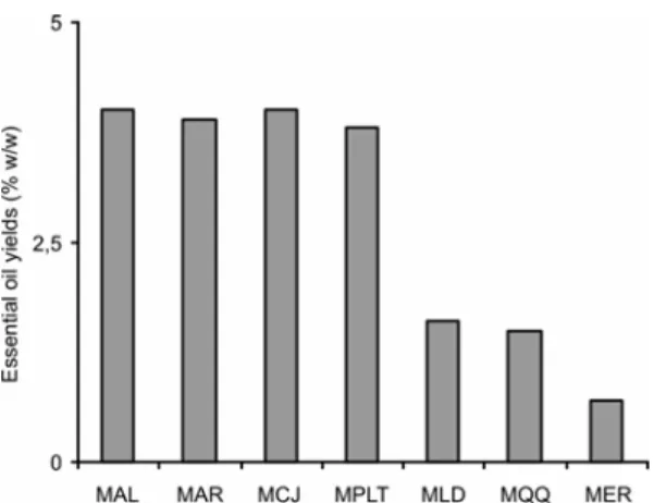 Figura 1 – Rendimento (%) do óleo essencial das folhas das sete espécies de Melaleuca em relação  à matéria seca