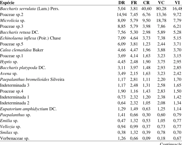 Tabela  2:  Parâmetros  fitossociológicos  das  espécies  amostradas  no  Campo  Rupestre  Herbáceo,  com  seus  respectivos  parâmetros  fitossociológicos  apresentadas  em  ordem  decrescente de  valor de  importância (VI) Quadrilátero Ferrífero, Minas G