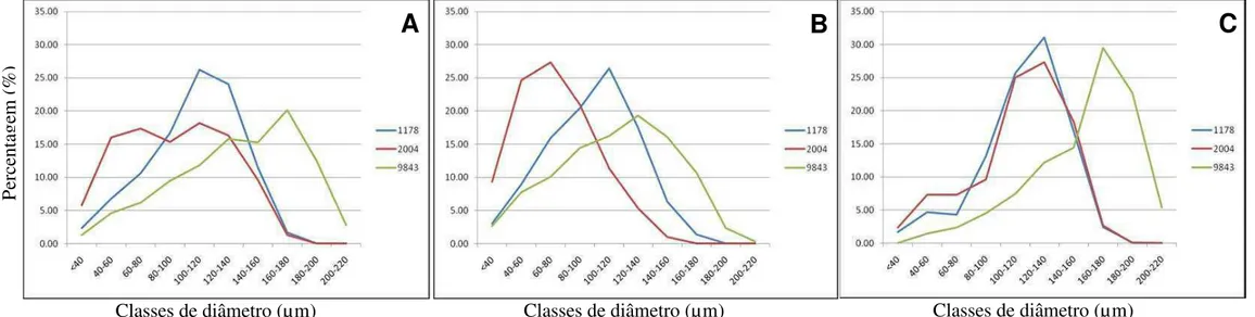 Figura 3. Distribuição dos vasos por classes de diâmetro e comprimento. A – Média por genótipo da distribuição do total devasos; B – Média por genótipo 