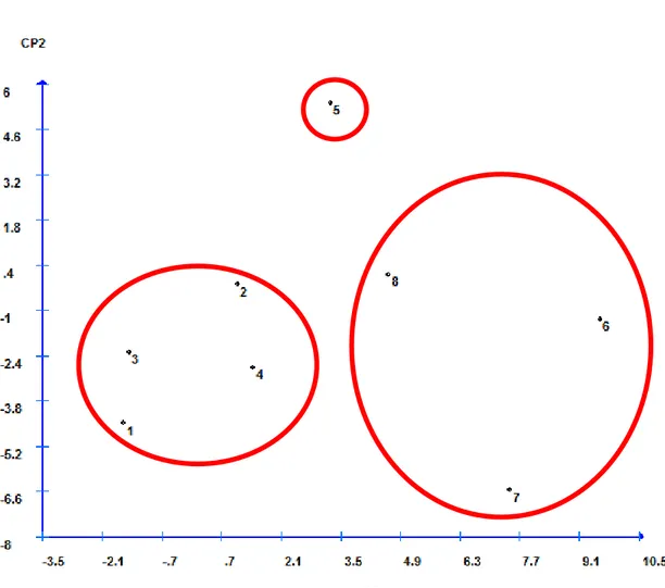 Figura 4. Dispersão gráfica com base nos componentes principais obtidos a partir das 