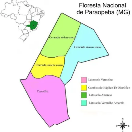 Figura 1: Mapa dos solos e das fitofisionomias da FLONA de Paraopeba, Minas 