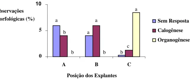 Figura 3: Morfogênese  em hipocótilos de urucum cultivados em três profundidades distintas:  a posição A refere-se ao explante disposto a 2 cm do meio de cultura; a posição B refere-se ao  explante  disposto  a  1  cm  no  meio  de  cultura;  e  a  posição