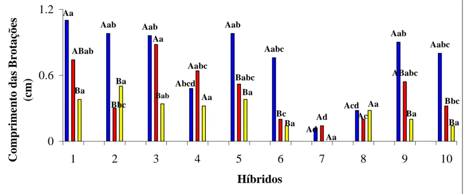 Figura  5:  Comprimento  das  brotações  (cm)  nos  diferentes  tratamentos,  em  todos  os  híbridos,  sendo,  Azul:  os  resultados  observados quando a cultura foi exposta a luz no período de 30 dias; Vermelho: quando a cultura foi exposta metade do tem