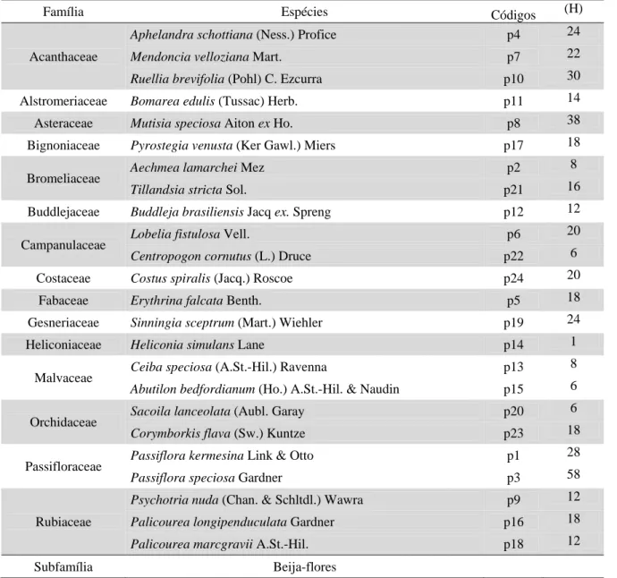 Tabela 2.1: Espécies ornitófilas (p1 a p24) e tempo de observação em horas (h) para cada espécie e os beija- beija-flores (a1 a a12) da Estação de Pesquisa, Treinamento e Educação Ambiental Mata do Paraíso, Viçosa, Minas  Gerais