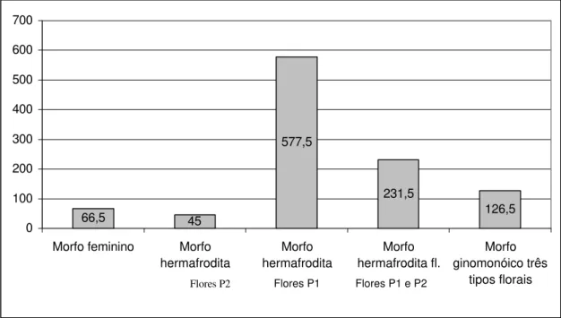 Figura 21. Número médio de frutos produzidos por um indivíduo de cada morfo sexual  de Valeriana scandens, em 2005, em Viçosa, Minas Gerais