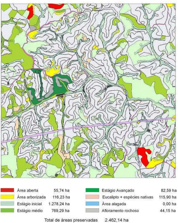 Figura 13 – Classificação das áreas preservadas na área de estudo de Cocais, Vale do  Rio Doce, Estado de Minas Gerais, em 2006