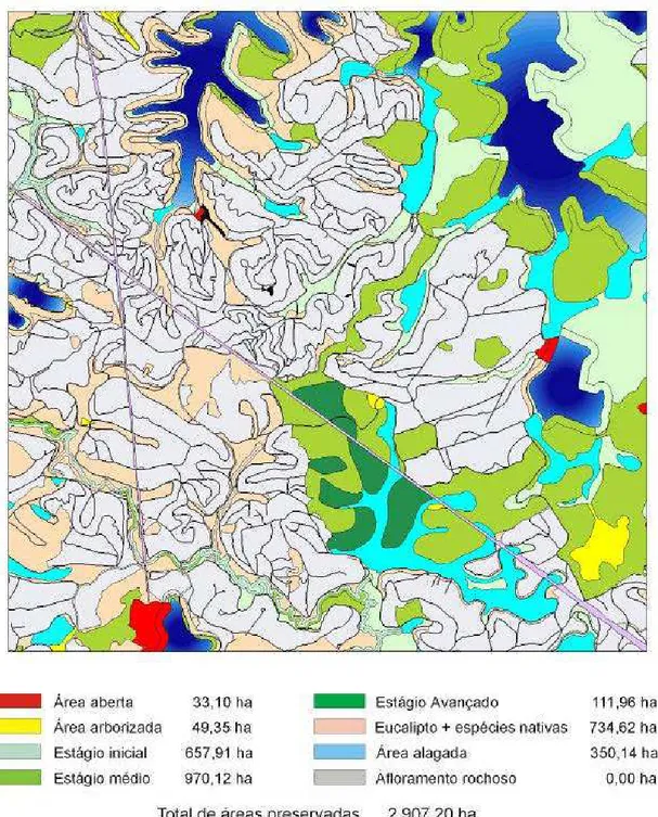 Figura 14 – Classificação das áreas preservadas na área de estudo de Ipaba, Vale do  Rio Doce, Estado de Minas Gerais, em 2006