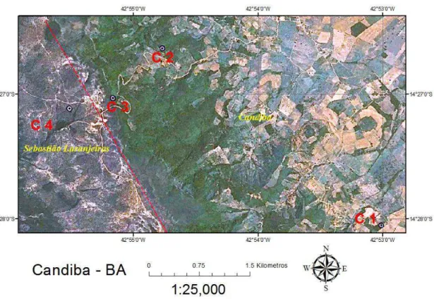 Figura 03  – Visão parcial da Serra de Monte Alto. (C1), Floresta Estacional Decidual sobre  Latossolo  Vermelho  epieutrófico;  (C2)  Floresta  Estacional  Decídua  sobre  Cambissolo  Háplico; (C3), Floresta Estacional Decidual sobre Neossolo Litólico dis