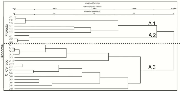 Figura  04  –  Dendrograma  gerado  na  análise  de  agrupamento  aglomerativo  (UPGMA)  das  espécies  amostradas  nas  parcelas  instaladas  nas  fitofisionomias  de  Floresta  Estacional  Decídua (C1 e C2), Floresta Estacional Semidecídua (C3) e Campo C