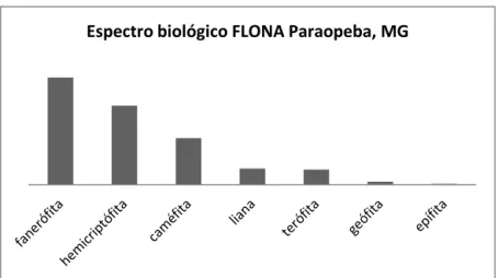 Figura 2  – Espectro biológico da florística do estrato herbáceo-subarbustivo da FLONA de Paraopeba, MG