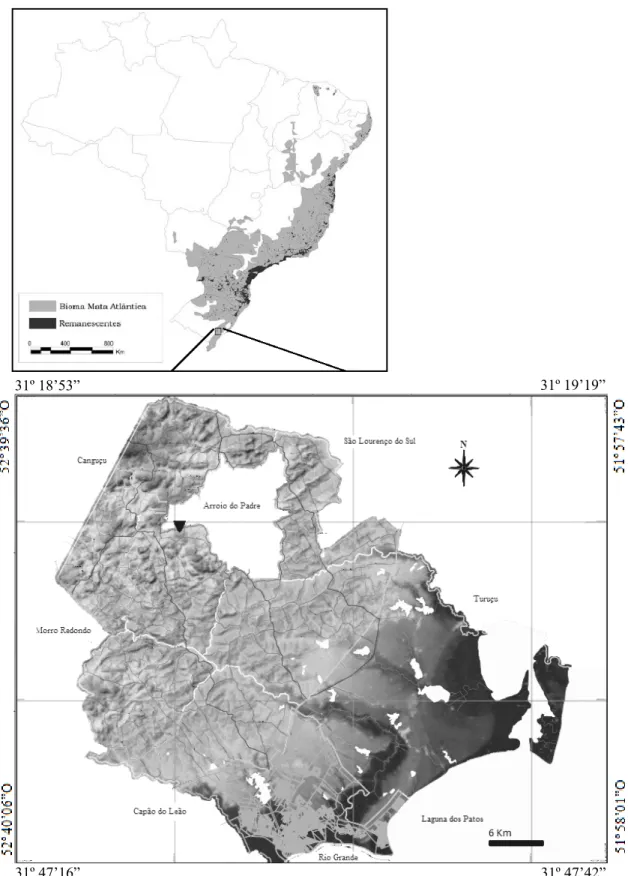 Figura 1 - Mapa de localização da área de estudo situada no extremo-sul do Brasil ( ▼)