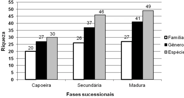 Figura 2. Diversidade de taxóns em três fases sucessionais de mata ciliar em Floresta Estacional  Semidecidual, Arroio do Padre, RS, Brasil.