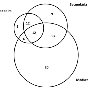 Figura 1. Diagrama de Veen das relações florísticas de três estágios de floresta ciliar em Arroio do Padre,  RS, Brasil.