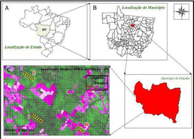 Figura 1. Localização das áreas de coletas: (A) Estado de Mato Grosso, Brasil (B) município  de Cláudia, (C) módulos de pesquisa do PPBio I, II, III (retângulos vermelhos) e das parcelas  permanentes sistema RAPELD (pontos  amarelos  ao longo dos  retângul