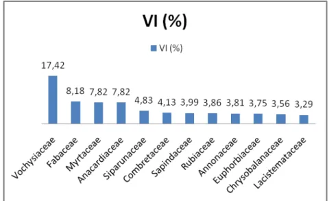 Figura 9-Distribuição de porcentagem de VI das famílias amostradas   na Floresta Ribeirinha do Córrego Fundo-Quartel Geral/MG 