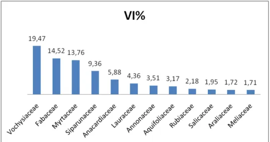 Figura 12-Distribuição de porcentagem de VI das famílias amostradas na  Floresta Ribeirinha do Córrego Fazendinha-Quartel Geral/MG