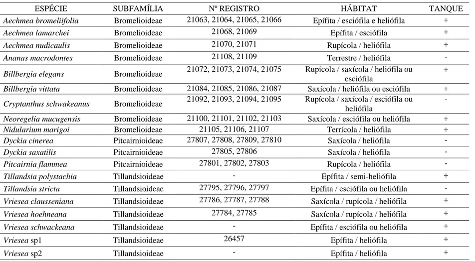 Tabela 1  – Espécies, subfamílias, número de registro no Herbário VIC, hábito das espécies e características da roseta das 