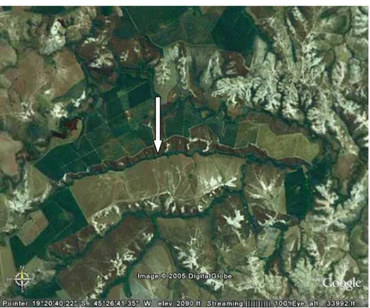 Figura 1 – Imagem de satélite da área de estudo. O Cerrado do Córrego Fundo (seta) é 