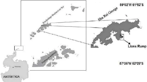 Figura 1. O arquipélago das Shetland do Sul mostrando a Ilha Rei George e a sua  porção ao sul conhecido como Lions Rump
