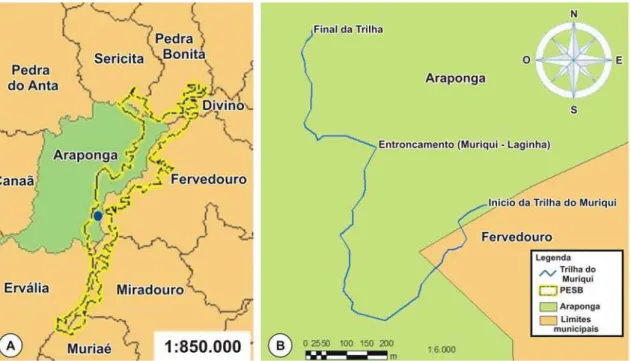 Figura 1- A: Municípios limites do Parque Estadual da Serra do Brigadeiro (PESB) e localização da  Trilha do Muriqui ( ● )