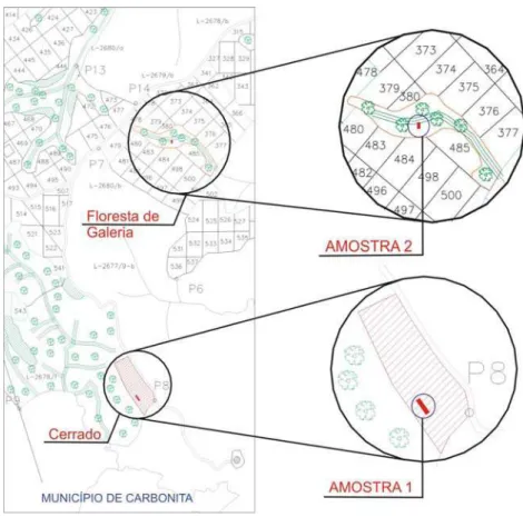Figura 2: Localização das duas amostras, situadas no município de Carbonita, em propriedade da 