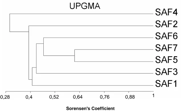 Figura 3. Dendrograma de similaridade florística entre os sete Sistemas Agroflorestais,  Araponga- MG, exceto Leguminosae: SAF1, Sr