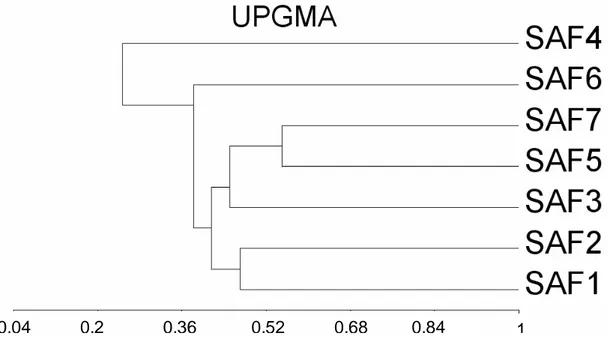 Figura 4. Dendrograma de similaridade florística entre os sete Sistemas Agroflorestais,  Araponga- MG, com a presença da família Leguminosae:SAF1, Sr