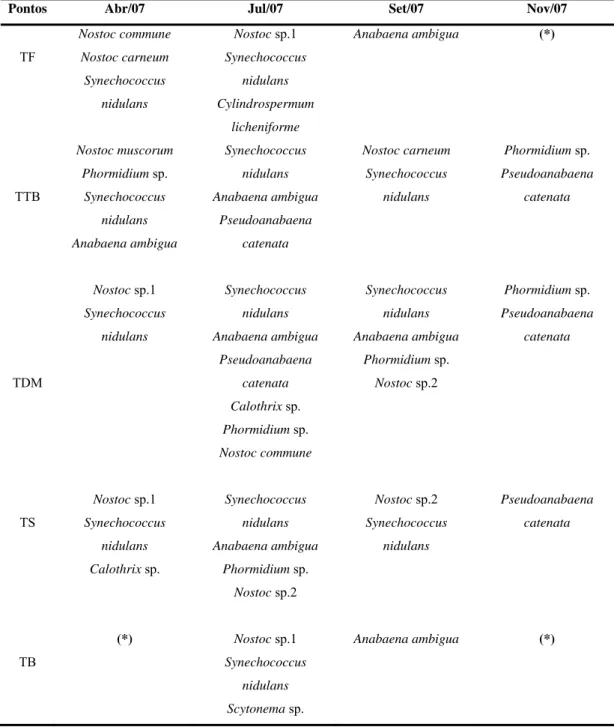 Tabela 3 – Gêneros e espécies de cianobactérias encontrados no Rio Turvo Sujo nos  períodos de seca  (abril e setembro) e chuva (setembro e novembro) de  2007