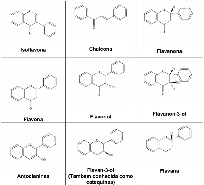 Tabela 1:  Esqueleto estrutural das principais classes de flavonóides. (CUSHNIE &amp; LAMB, 2005)