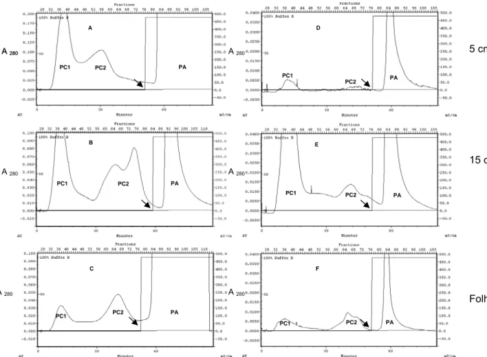 Figura 3- Perfis cromatográficos de troca aniônica em DEAE-Sepharose de ES (A, B e C) e  de EP (D, E e F) de plantas de berinjela da variedade “Florida Market” com 5 cm (A e D) e  15 cm (B e E) de altura e de folhas totalmente expandidas (C e F)