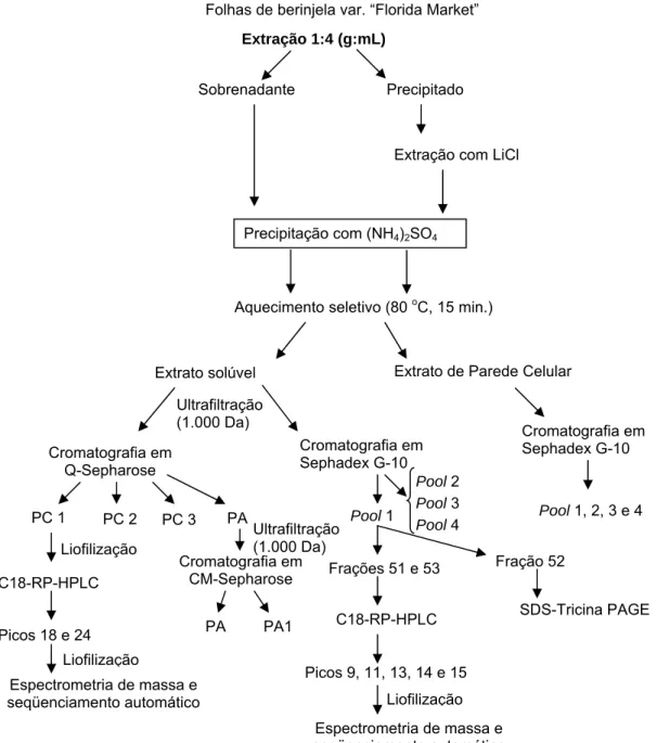 Figura 4 - A) Protocolo geral de purificação do peptídeos antimicrobianos de folhas  de berinjela