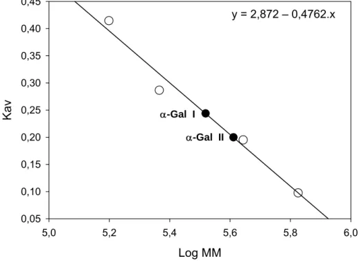 Figura 11:  Estimativa das massas moleculares das enzimas α-Gal I e α-Gal II do 