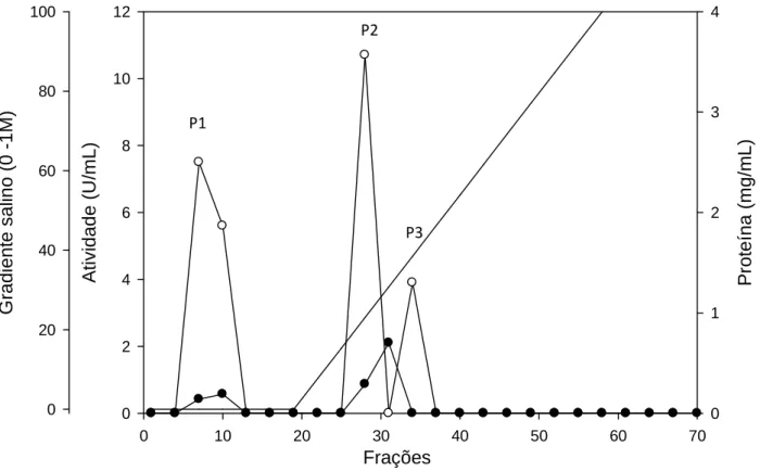 Figura  2  –  Perfil  cromatográfico  obtido  após  a  aplicação  do  extrato  enzimático 