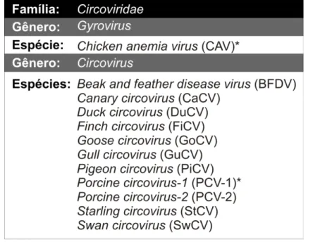 Figura  1.1.  Organização  taxonômica  da  família  Circoviridae  segundo  o  ICTV.  Fonte:  ICTV  Virus  Taxonomy  Release  2009  (http://www.ictvonline.org/,  acessado  em  11 de abril de 2010)