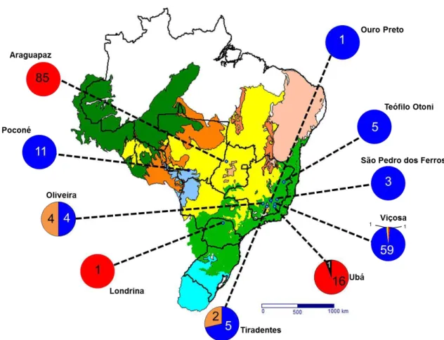 Figura 7. Distribuição dos cinco haplótipos encontrados no presente estudo de acordo com o bioma e 