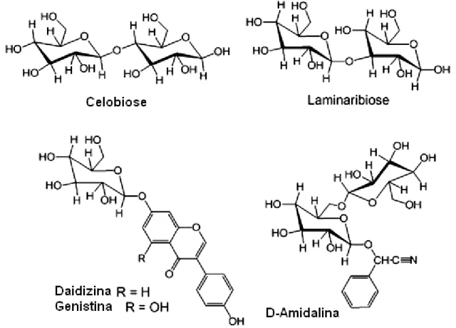 Figura 1: Exemplos de algumas estruturas de substratos de  -glicosidases (Cairns; Esen, 2010, 
