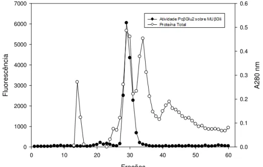Figura  9:  Perfil  cromatográfico  obtido  após  submeter  Pc Glu2  a  cromatografia  de  exclusão  molecular 