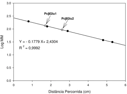 Figura  11:  Determinação  da  massa  molecular  das  -glicosidases  purificadas  de  Penicillium 