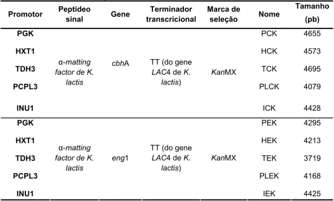 Tabela 4: Cassetes de expressão construídos nesse trabalho  Promotor  Peptídeo  sinal  Gene  Terminador  transcricional Marca de seleção  Nome  Tamanho (pb)  PGK  PCK 4655  HXT1  HCK 4573  TDH3  TCK 4695  PCPL3  cbhA  PLCK 4079  INU1  α-matting  factor de 