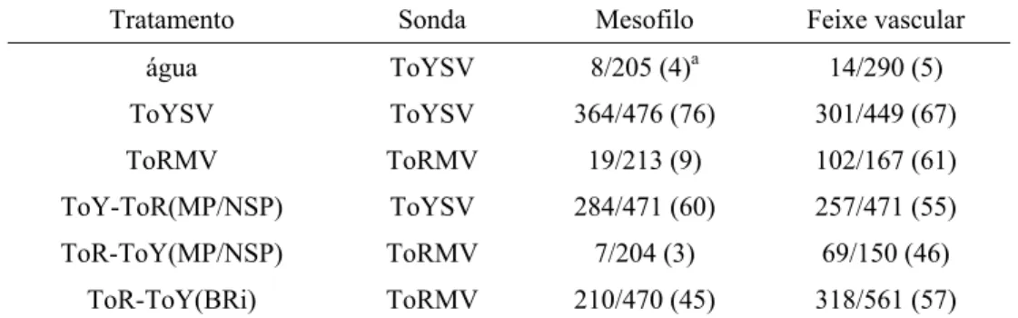 Tabela 3. Tropismo de tecido do ToYSV, ToRMV e vírus recombinantes em N. 