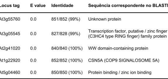 Tabela 2: Identidade dos clones identificados pela interação com Pro-Rich  pelo sistema de duplo hibrido