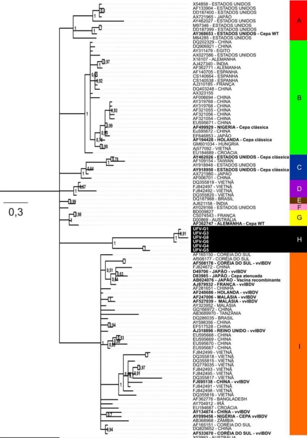 FIGURA 3- Árvore filogenética das sequências de nucleotídeos da região hipervariável da VP2