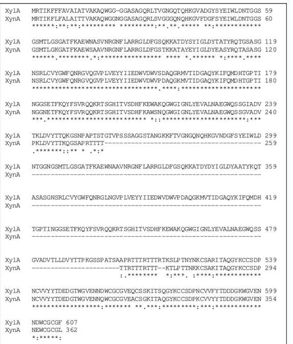 Figure 2: Protein alingment of the  Orpinomyces  strain PC-2 xylanase (X ynA )  (accession number AAD04194) and  N
