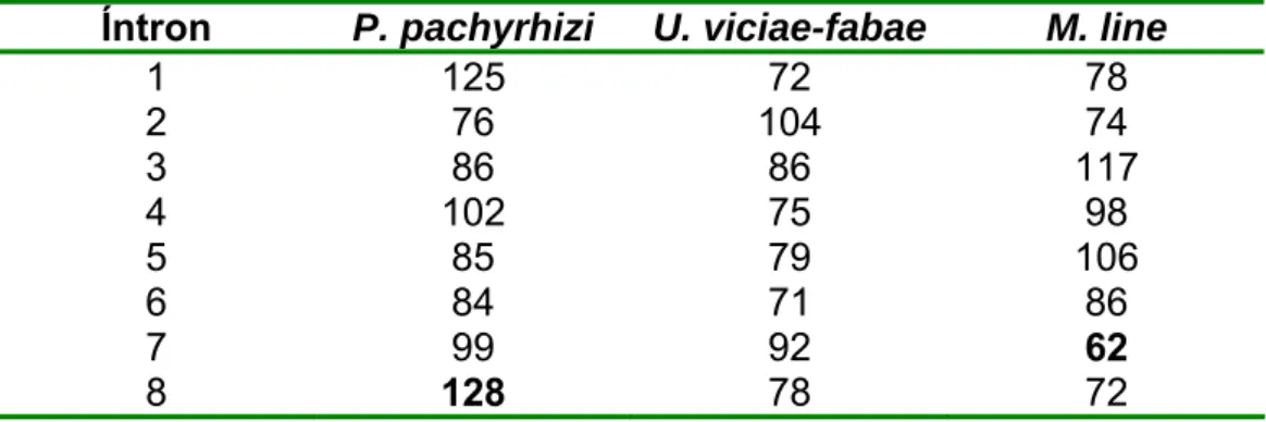 Tabela 2. Número e tamanho (em pares de base) dos íntrons das únicas três espécies de  fungos causadores de ferrugens com o gene da  β-tubulina completamente sequenciado 