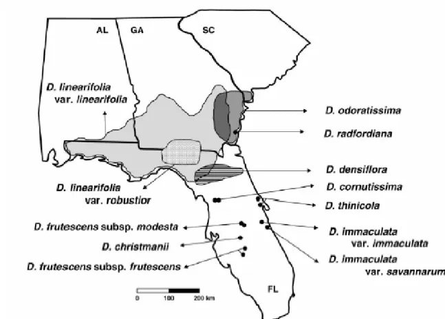 Figura 1: Mapa de distribuição da maioria dos táxons constituintes do  gênero  Dicerandra  (Fonte: Oliveira  et al