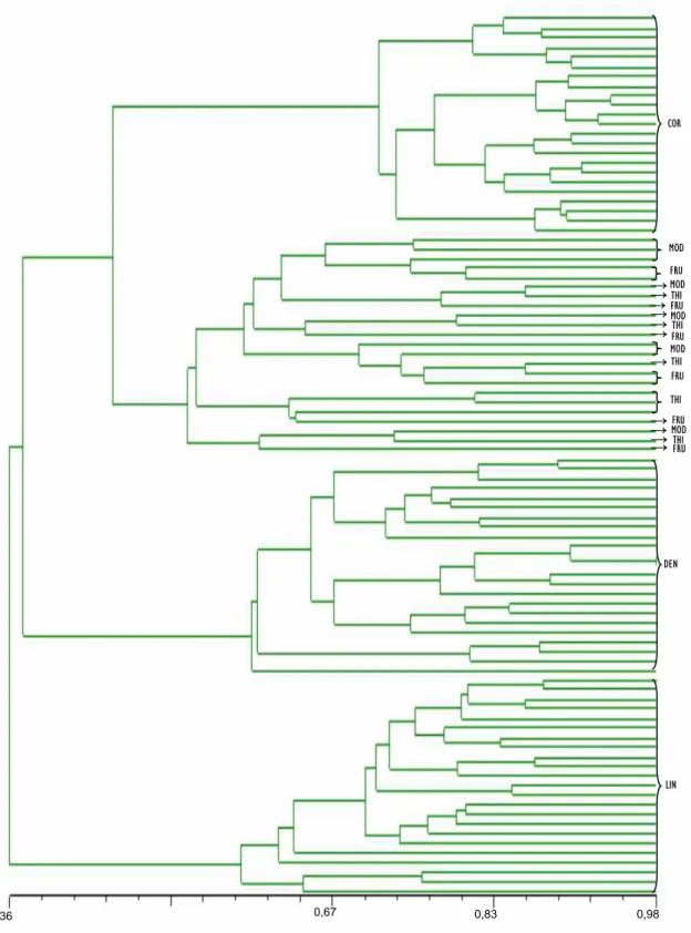 Figura 5: Dendrograma obtido pelo método de UPGMA a partir de 92  indivíduos distribuídos em 14 populacões de  Dicerandra,  gerado pelo  programa NTSYS PC 2.2k, com base no coeficiente de Dice
