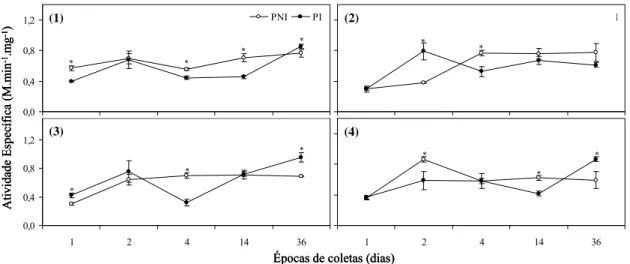 Figura 8. Curvas do progresso da atividade enzimática de PPO em plantas não 