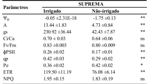 Tabela 2. Efeito do potencial hídrico foliar na antemanhã (Ψ H  – 1,5 MPa) 