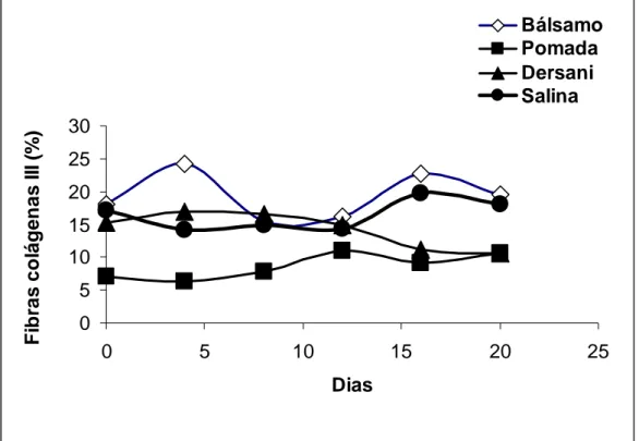 Figura 5 - Valores médios da contagem de fibras colágenas tipo III dos  animais em função do tempo e dos diferentes tratamentos