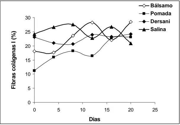 Figura 6 - Valores médios da contagem de fibras colágenas tipo I dos  animais em função do tempo e dos diferentes tratamentos